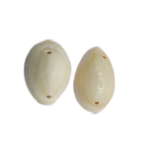 Cowrie-Shell-bead-12mm~110pcs-white